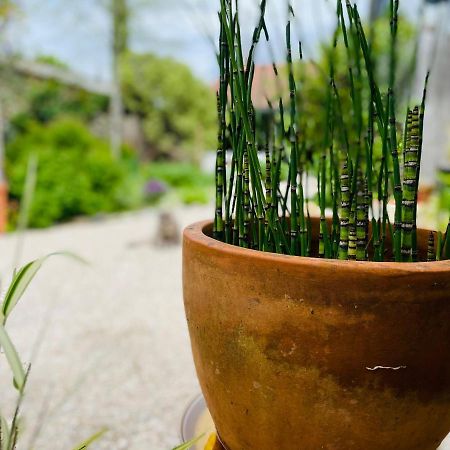 La Poterie Bed & Breakfast Carresse Bagian luar foto