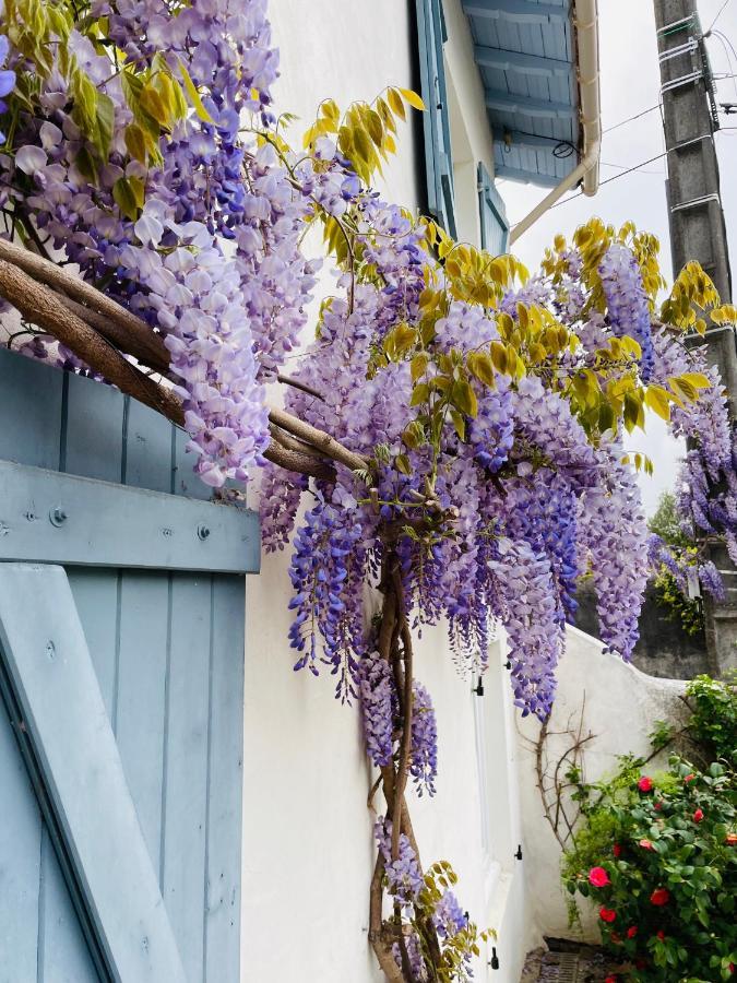 La Poterie Bed & Breakfast Carresse Bagian luar foto