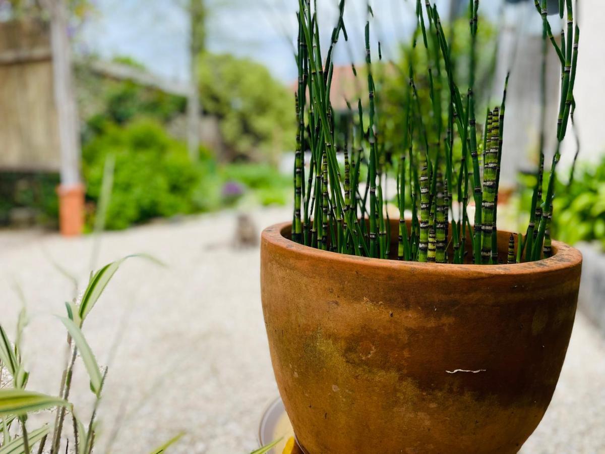 La Poterie Bed & Breakfast Carresse Bagian luar foto